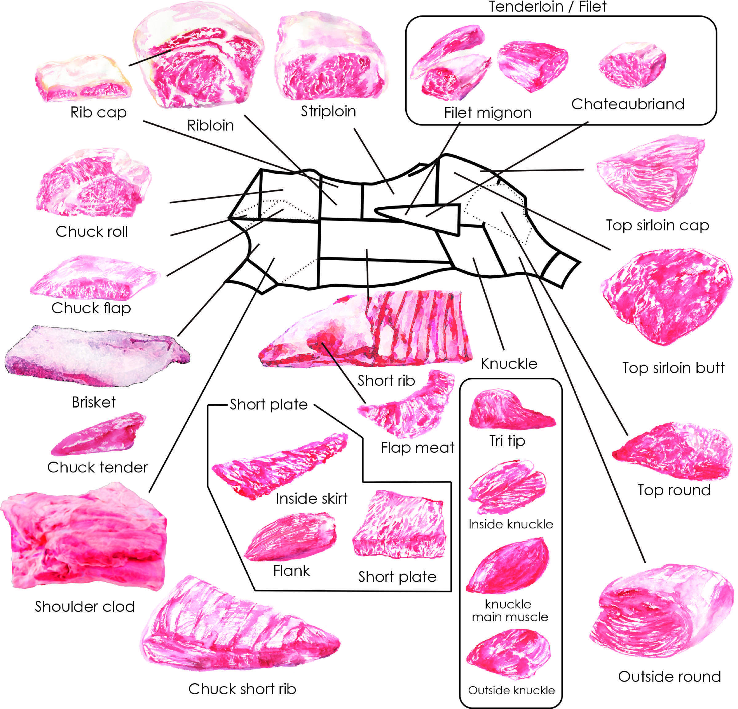 Übersicht aller Wagyu-Teilstücke — KABUKI Feinkost